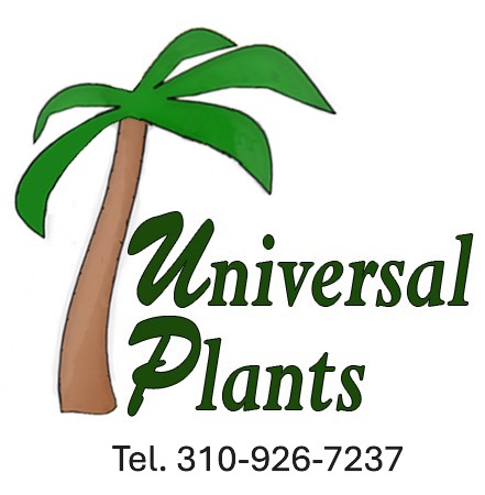 Universal Plants